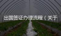 出國簽證辦理流程（關于出國簽證辦理流程的基本情況說明介紹）