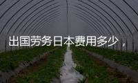 出國勞務日本費用多少，出國勞務在日本打工累不累