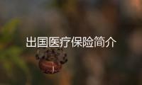 出國醫療保險簡介