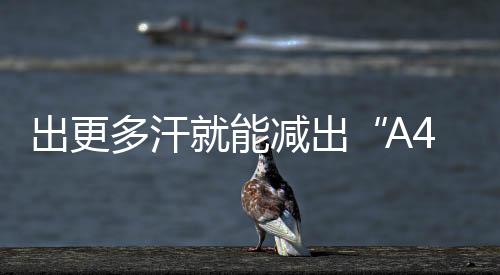 出更多汗就能減出“A4腰”？講真，不一定！