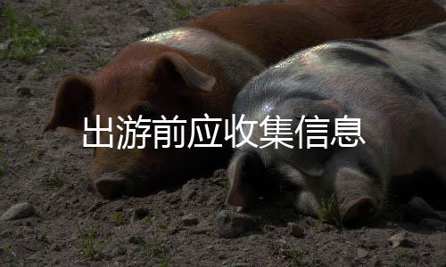 出游前應收集信息