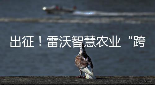 出征！雷沃智慧農業“跨區版”解決方案攜手天中麥客護航豐收中國