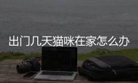 出門幾天貓咪在家怎么辦(出門兩三天貓咪怎么辦)