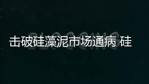 擊破硅藻泥市場通病 硅藻泥行業發展座談會舉行