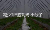 減少T細(xì)胞耗竭 小分子藥物有望顯著提高CAR