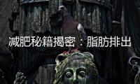 減肥秘籍揭密：脂肪排出體外的奇妙過程大公開！