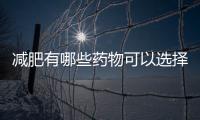 減肥有哪些藥物可以選擇？