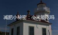 減肥小秘密：小米能吃嗎？