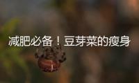 減肥必備！豆芽菜的瘦身秘密揭曉！