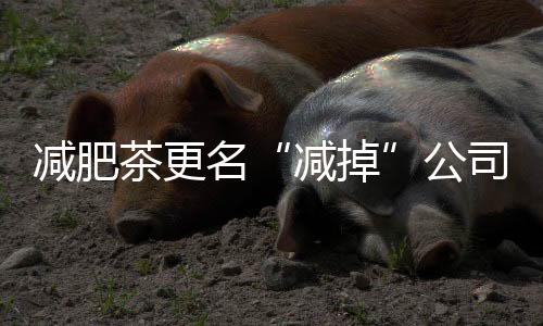 減肥茶更名“減掉”公司業績 碧生源求變高溢價收購藥企