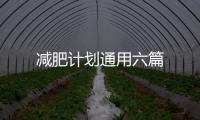 減肥計劃通用六篇