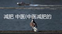 減肥 中醫(中醫減肥的原理)