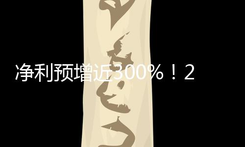凈利預增近300%！2020年光伏玻璃企業腰包增了多少？ ,市場研究