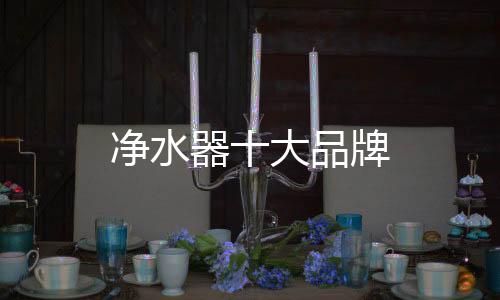 凈水器十大品牌