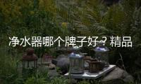 凈水器哪個牌子好？精品凈水器阿爾瓦X7出得廳堂入得廚房