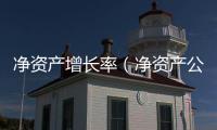 凈資產(chǎn)增長率（凈資產(chǎn)公式）