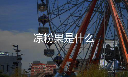 涼粉果是什么