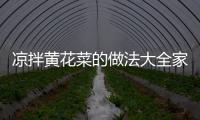 涼拌黃花菜的做法大全家常炒菜，涼拌黃花菜的做法