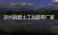 涼州鋼塑土工加筋帶廠家