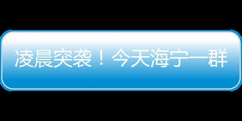 凌晨突襲！今天海寧一群人睡夢(mèng)中被傳喚 一男子當(dāng)場(chǎng)掏出一疊人民幣…