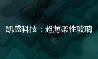 凱盛科技：超薄柔性玻璃截至目前產(chǎn)生的收入在整體收入中占比不足3%