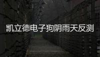 凱立德電子狗陰雨天反測速表現