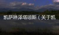 凱薩琳澤塔瓊斯（關于凱薩琳澤塔瓊斯的基本情況說明介紹）