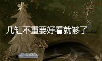 幾缸不重要好看就夠了 試駕東風雪鐵龍云逸