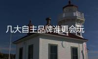幾大自主品牌誰更會玩 誰最低調？