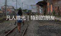 凡人微光｜特別的朋友