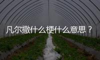 凡爾撒什么梗什么意思？撒貝寧凡爾撒語錄盤點