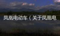 鳳凰電動車（關(guān)于鳳凰電動車的基本情況說明介紹）