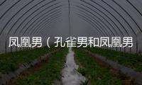 鳳凰男（孔雀男和鳳凰男的區別）