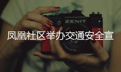 鳳凰社區舉辦交通安全宣傳活動_