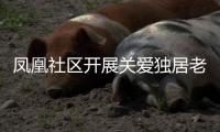 鳳凰社區開展關愛獨居老人活動_