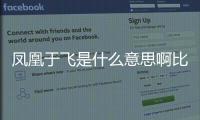 鳳凰于飛是什么意思啊比依股份（鳳凰于飛是什么意思）