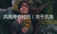 鳳凰傳奇經(jīng)歷（關于鳳凰傳奇經(jīng)歷的基本情況說明介紹）