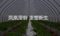 鳳凰涅磐 重塑新生