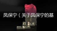 鳳保寧（關于鳳保寧的基本情況說明介紹）