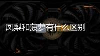 鳳梨和菠蘿有什么區別 鳳梨和菠蘿哪個好吃