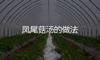 鳳尾菇湯的做法