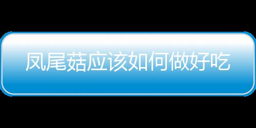 鳳尾菇應該如何做好吃