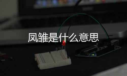 鳳雛是什么意思