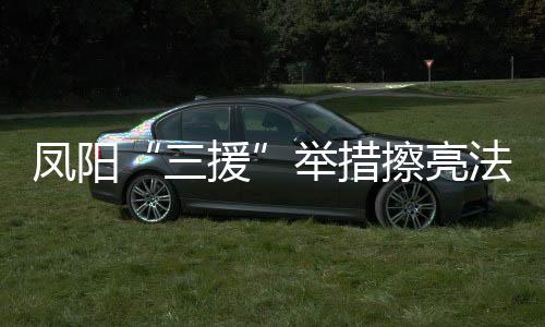 鳳陽“三援”舉措擦亮法援惠民品牌_
