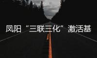鳳陽“三聯三化”激活基層治理“神經末梢”_