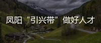 鳳陽“引興帶”做好人才項目大文章_