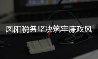 鳳陽稅務堅決筑牢廉政風險防控底線_