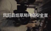 鳳陽縣煙草局網絡安全宣傳在線“趕大集”_