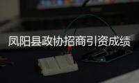 鳳陽縣政協招商引資成績顯著,市場研究