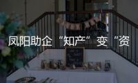 鳳陽助企“知產”變“資產”_